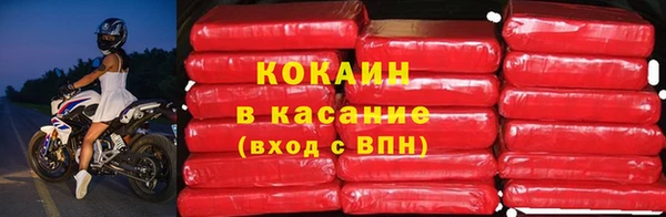 дживик Арсеньев