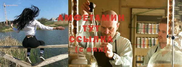 эйфоретик Аркадак