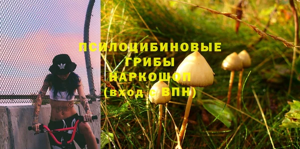 дживик Арсеньев