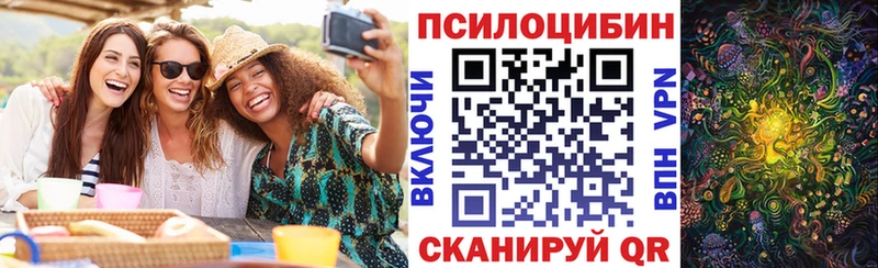 Галлюциногенные грибы Psilocybine cubensis  Купить  Билибино 